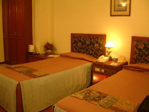 Hotel Amer Palace Bhopal Exteriör bild